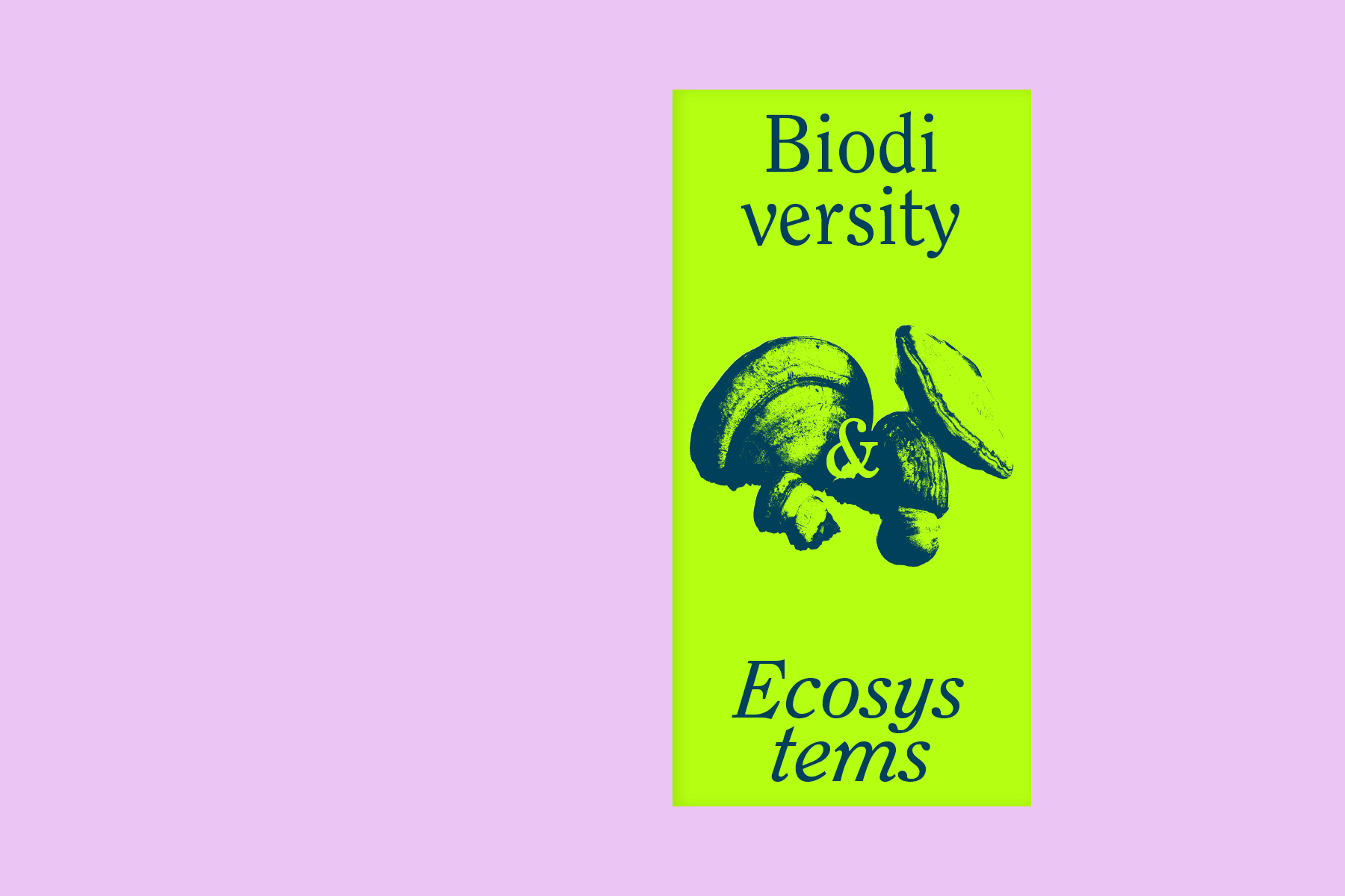 gif de spreads de livro de pesquisa