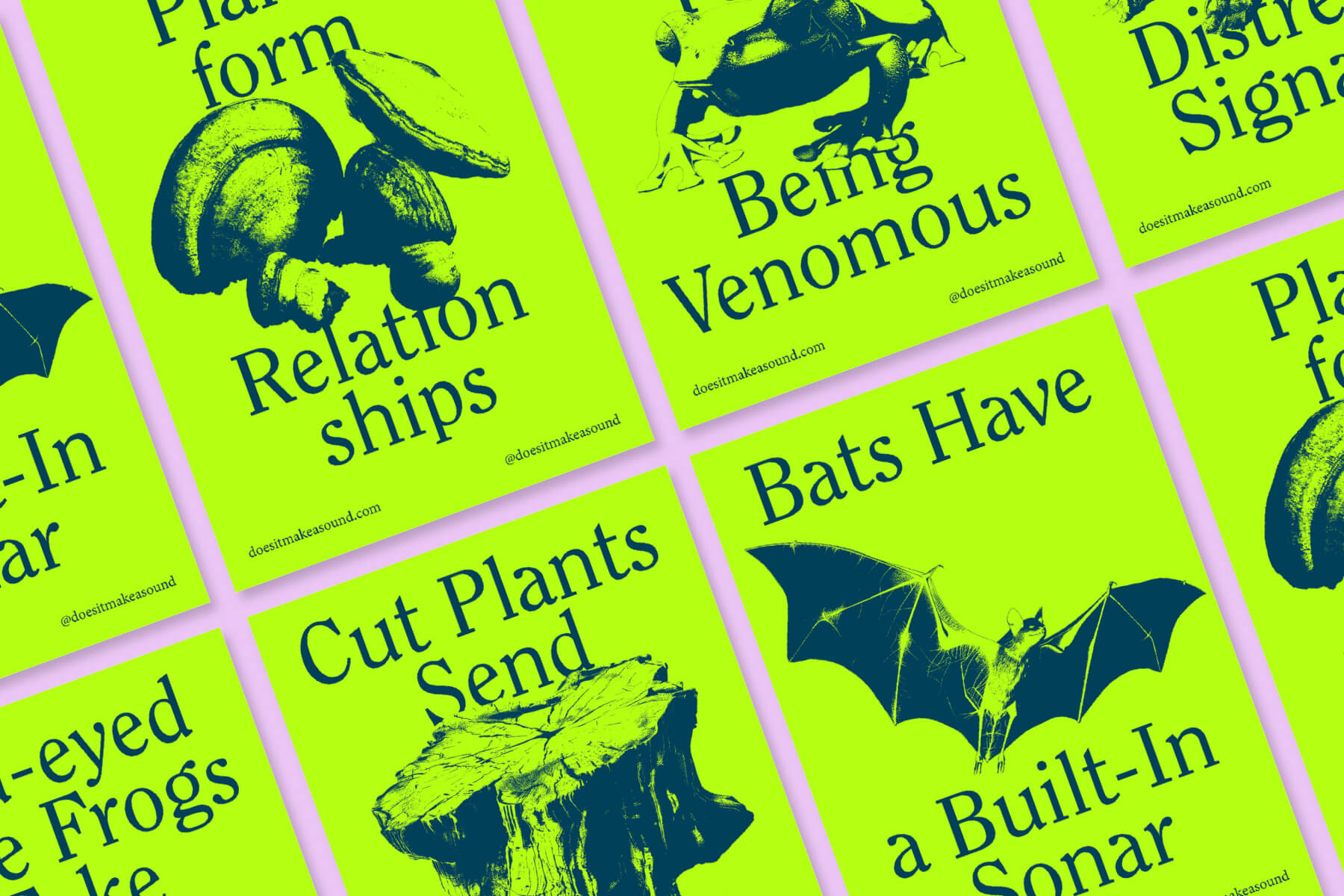 montagem de cartazes